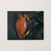 Soft Muschel Marine Crab auf dunklen Blätter Puzzle (Horizontal)