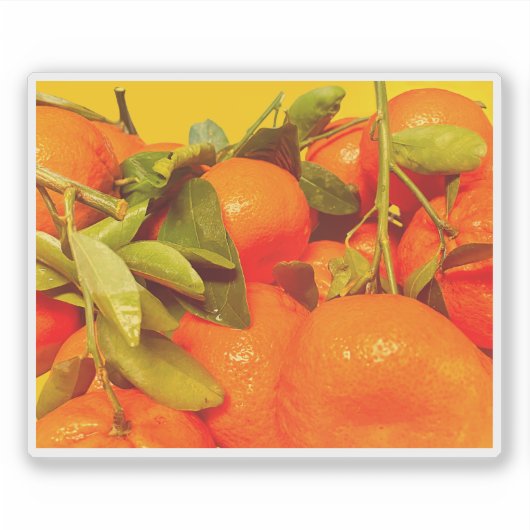 Soft Orange Frucht Ästhetik Aufkleber (Vorderseite)