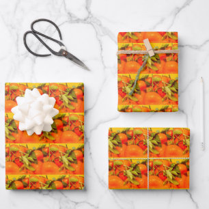 Soft Orange Frucht Ästhetik Geschenkpapier Set