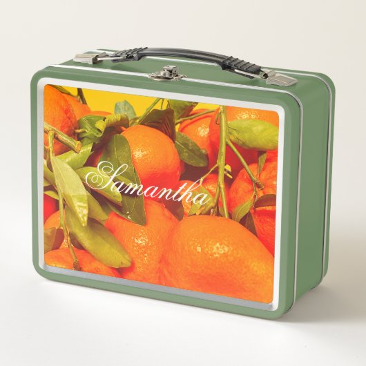 Soft Orange Frucht Ästhetik Metall Brotdose (Vorderseite)