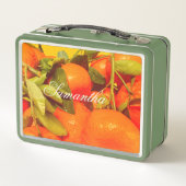 Soft Orange Frucht Ästhetik Metall Brotdose (Rückseite)