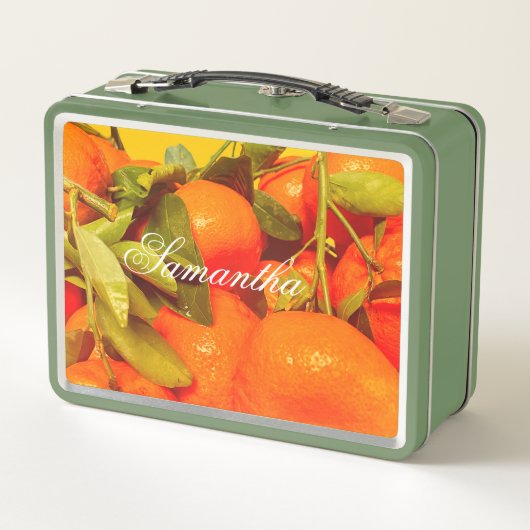 Soft Orange Frucht Ästhetik Metall Brotdose (Rückseite)