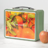 Soft Orange Frucht Ästhetik Metall Brotdose (Beispiel)