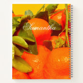 Soft Orange Frucht Ästhetik Notizblock (Rückseite)