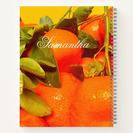 Soft Orange Frucht Ästhetik Notizblock (Rückseite)