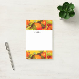 Soft Orange Frucht Ästhetik Post-it Klebezettel