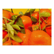 Soft Orange Frucht Ästhetik