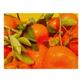 Soft Orange Frucht Ästhetik Poster