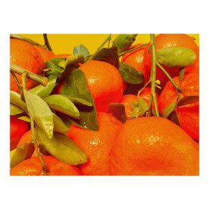 Soft Orange Frucht Ästhetik Poster