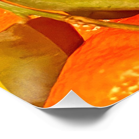 Soft Orange Frucht Ästhetik Poster (Ecke)