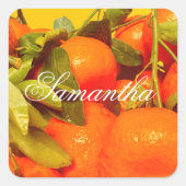 Soft Orange Frucht Ästhetik Quadratischer Aufkleber (Vorderseite)