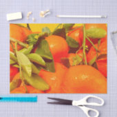 Soft Orange Frucht Ästhetik Seidenpapier (Handwerk)