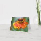 Soft Orange Yellow Zinnia Flower Photography (Vorderseite)