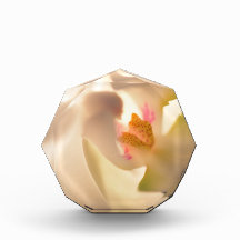 Soft Orchid Design Foto Block