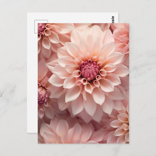 soft pastel colored dahlia flower postkarte (Vorne/Hinten)