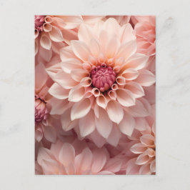 soft pastel colored dahlia flower postkarte