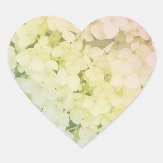 Soft Pastel Rainbow Hydrangea Herz-Aufkleber (Vorderseite)