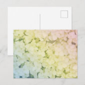  Soft Pastel Rainbow Hydrangea Postkarte (Vorne/Hinten)