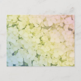 Soft Pastel Rainbow Hydrangea Postkarte