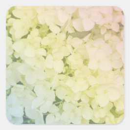  Soft Pastel Rainbow Hydrangea Quadratischer Aufkleber