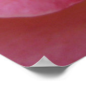 Soft Peach (1) Poster (Ecke)