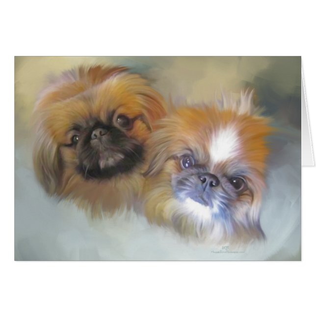 Soft Pekingese Duo (Vorderseite (Horizontal))