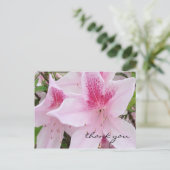 Soft Pink Azaleas - Danke Postcard Postkarte (Stehend Vorderseite)
