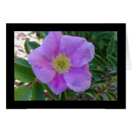 Soft Pink Bloom - Lieder 8:14 Grußkarte