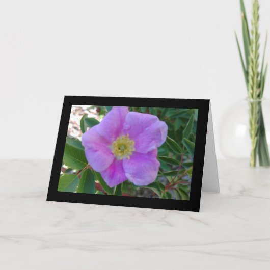 Soft Pink Blüte - Song von Sol. 8:7 Grußkarte Karte (Vorderseite)