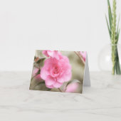 Soft Pink Camellia-Blume (Vorderseite)