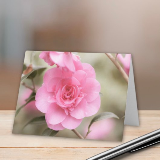 Soft Pink Camellia-Blume