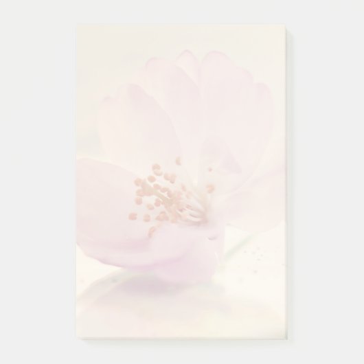 Soft Pink Cherry Blossom Blume Post-it Klebezettel (Vorderseite)