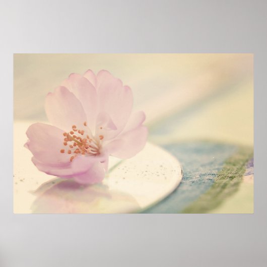 Soft Pink Cherry Blossom Blume Poster (Vorne)