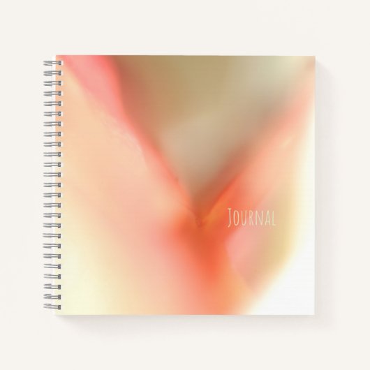 Soft Pink Color Spiral Notebook Notizblock (Vorderseite)