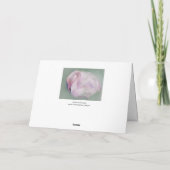 Soft Pink Flamingo Personalisiert Geburtstag Karte (Rückseite)