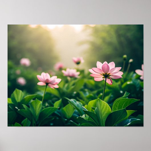 Soft pink flowers poster (Vorne)