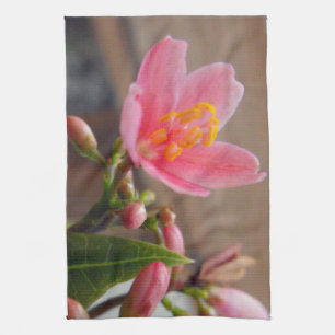 Soft Pink Jatropha Blume Geschirrtuch