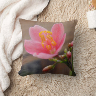 Soft Pink Jatropha Blume Kissen