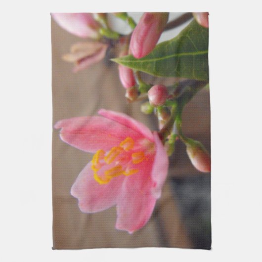 Soft Pink Jatropha Blume Küchentuch (Vertikal)