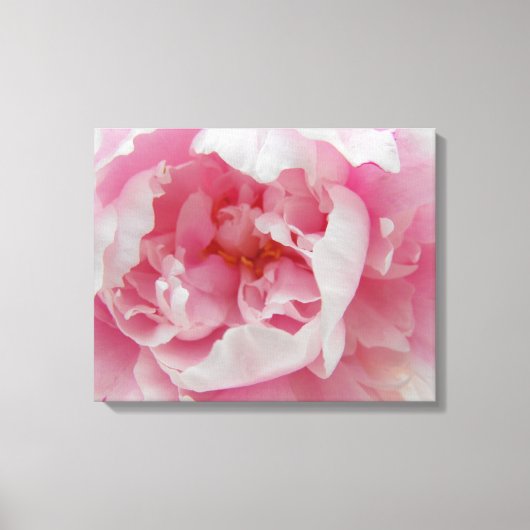 Soft Pink Peony Elegant Fotografie auf Leinwand (Vorderseite)