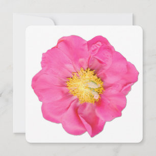 Soft Pink Pfingstrose Blumen Botanische Kunstkarte Einladung