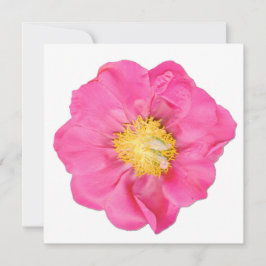 Soft Pink Pfingstrosen-Blumen Botanische Kunstkart Einladung
