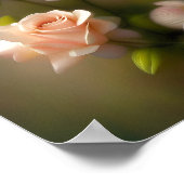 Soft pink roses roses poster (Ecke)