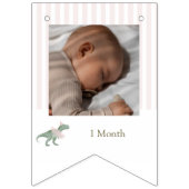 Soft Pink T Rex Tutu Girl Birthday Photo Banner (Zweite Fahne)