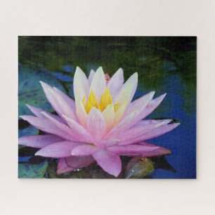 Soft Pink Wasserlilie Jigsaw Puzzle