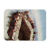 Soft Policies - Magnet (Horizontal)