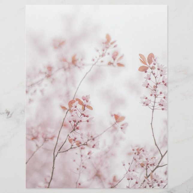 Soft sakura blooms scrapbook paper (Vorderseite)