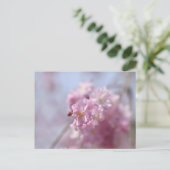 Soft Sakura Whispers Postkarte (Stehend Vorderseite)