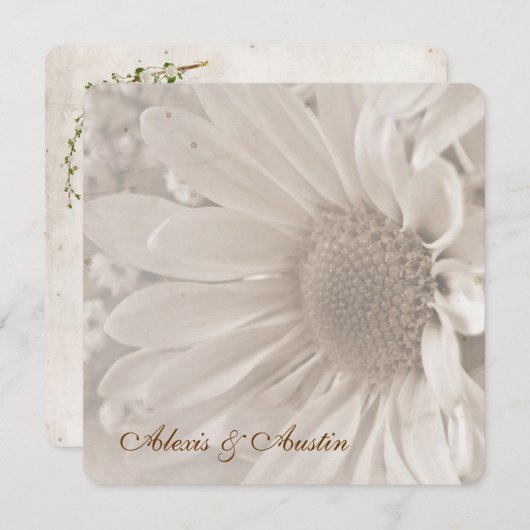 Soft Sepia Wedding Daisy Einladung (Vorne/Hinten)