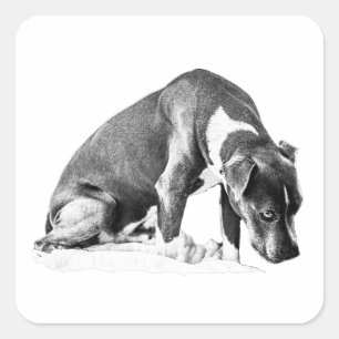 Soft Shadow - Watchful Friend Quadratischer Aufkleber